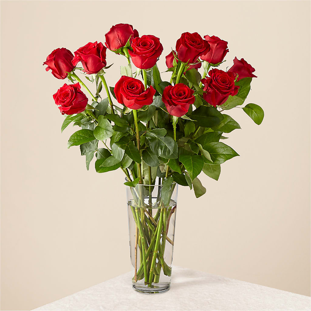 Long Stem Red Rose Bouquet – All Season Floral Llc, Saranac Lake NY