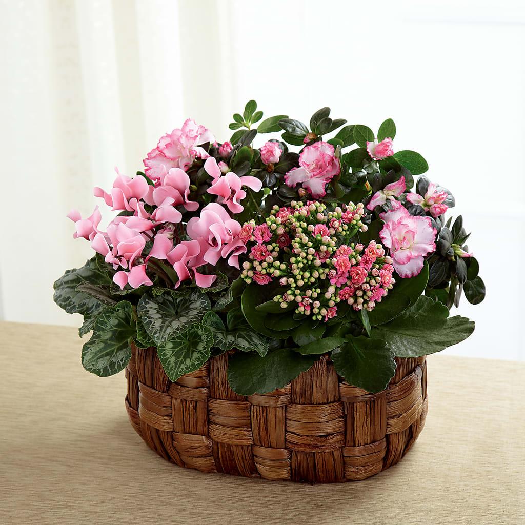 Pink Assortment – All Season Floral Llc, Saranac Lake NY