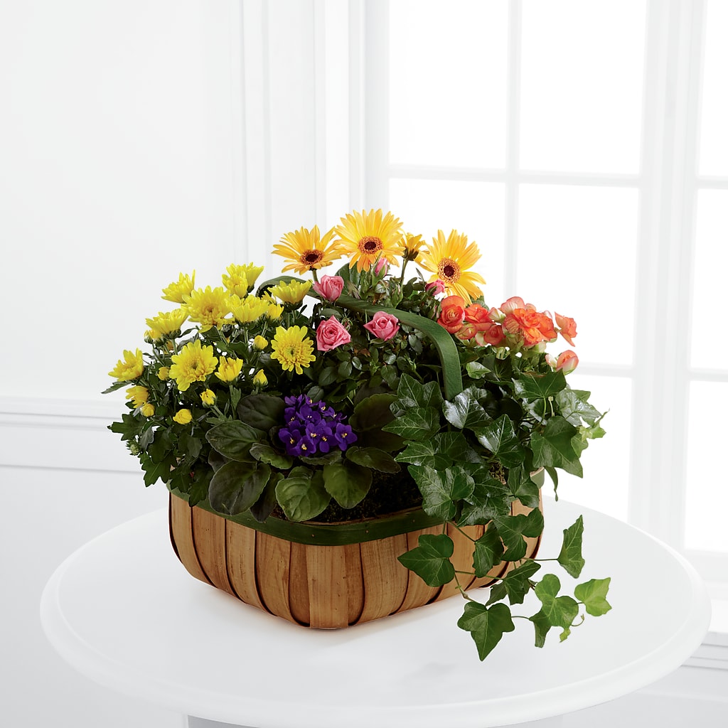 Gentle Blossoms Basket – All Season Floral Llc, Saranac Lake NY