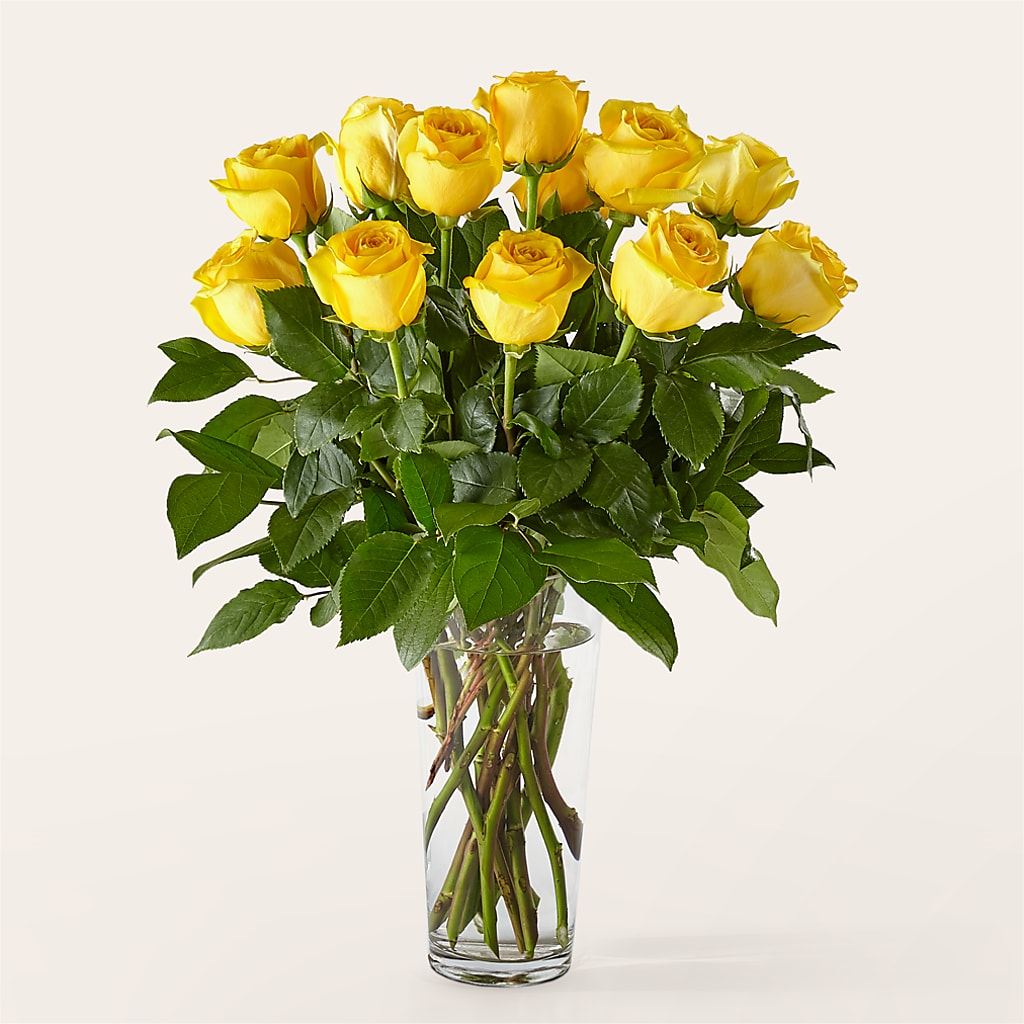 Long Stem Yellow Rose Bouquet – All Season Floral Llc, Saranac Lake NY