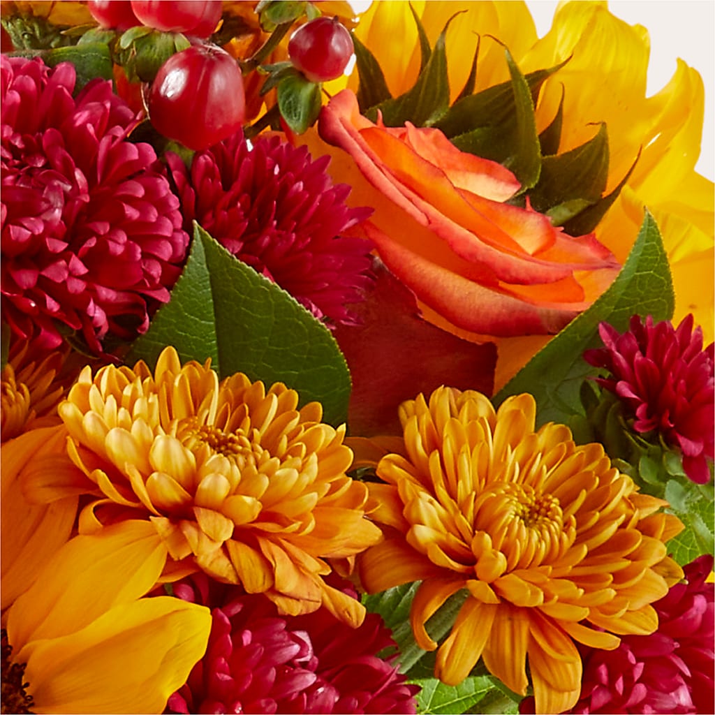 Sweater Season - A Florist Original – All Season Floral Llc, Saranac Lake NY