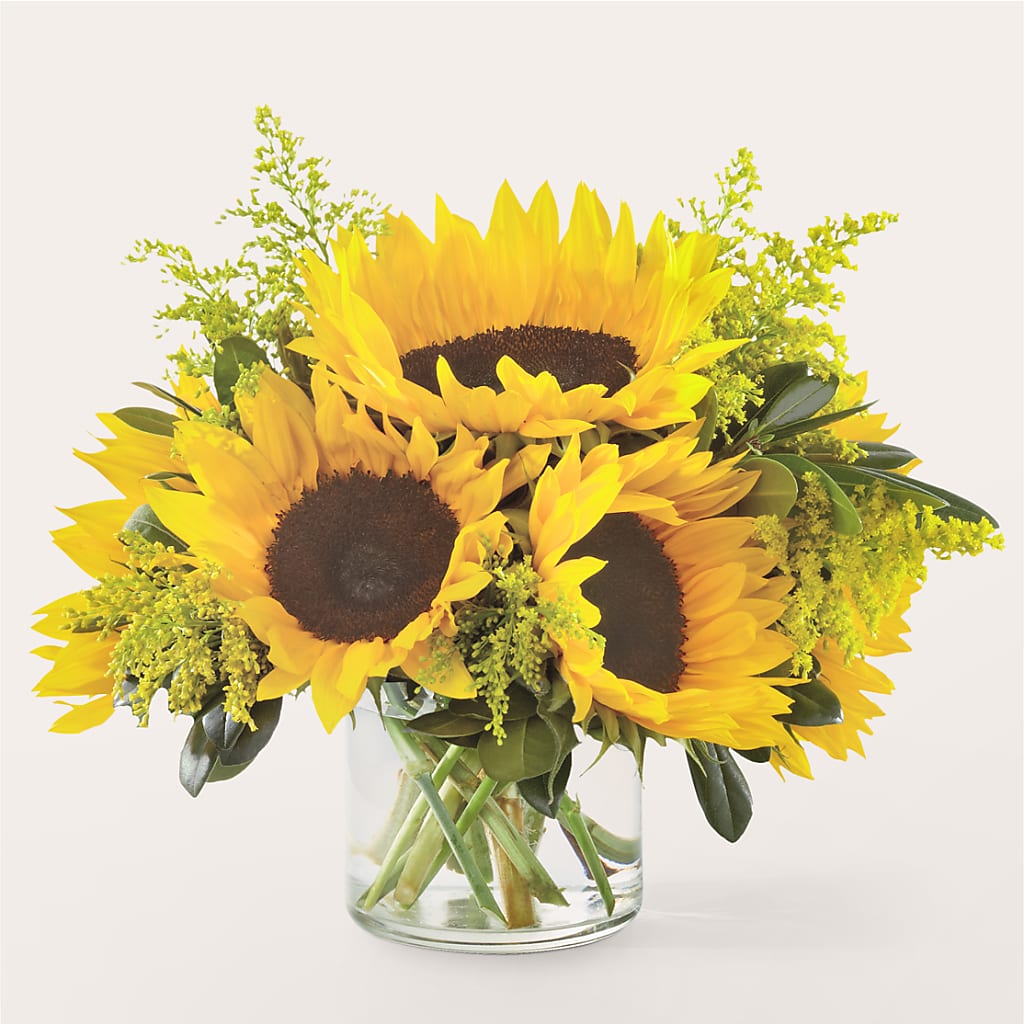 Beaming Sunflower Bouquet – All Season Floral Llc, Saranac Lake NY