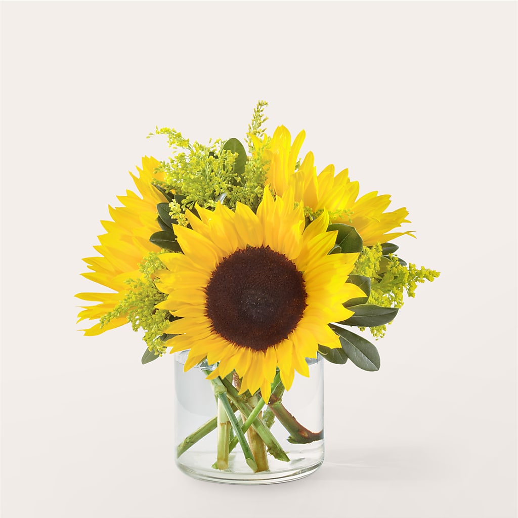 Beaming Sunflower Bouquet – All Season Floral Llc, Saranac Lake NY