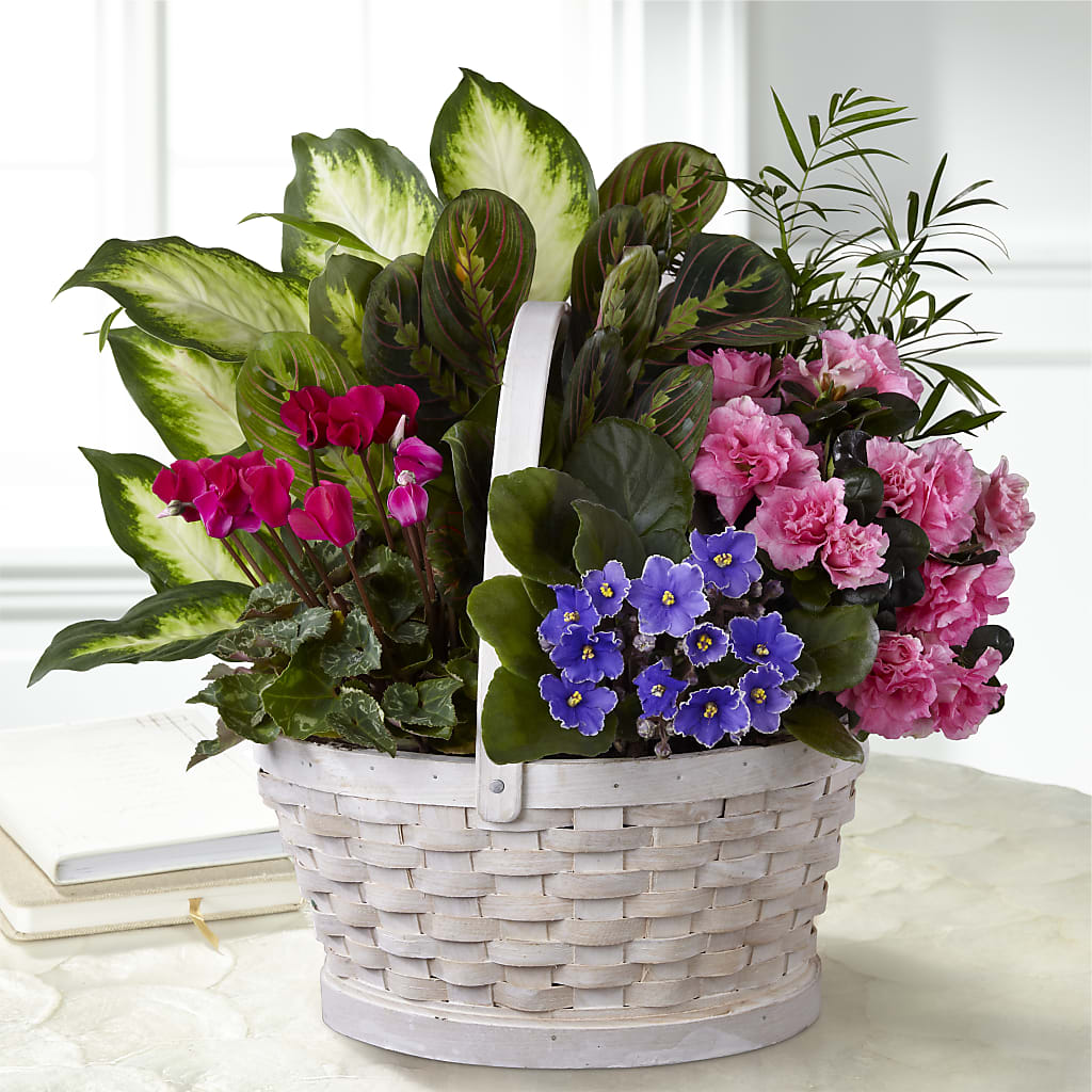 Peaceful Garden Planter – All Season Floral Llc, Saranac Lake NY