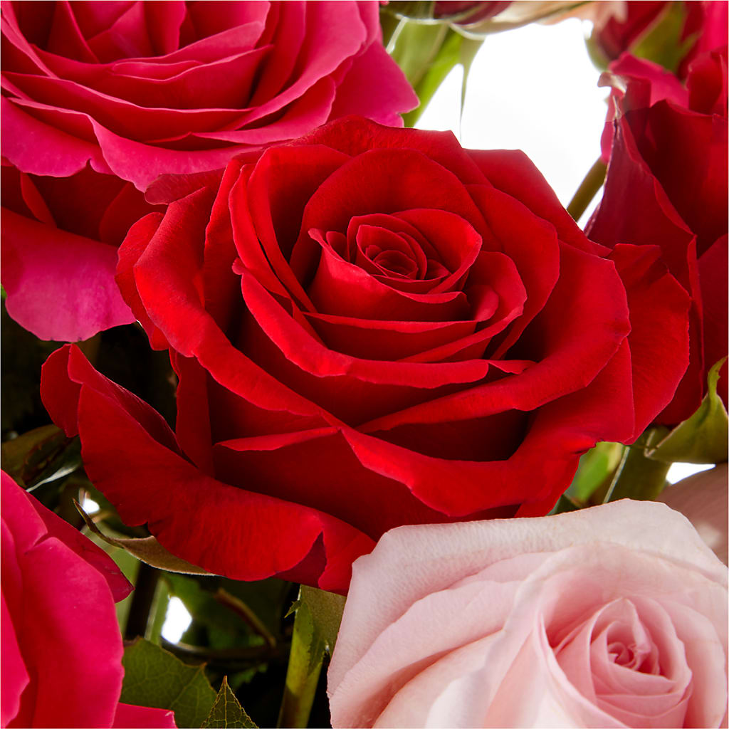 Love Notes Rose Bouquet – All Season Floral Llc, Saranac Lake NY