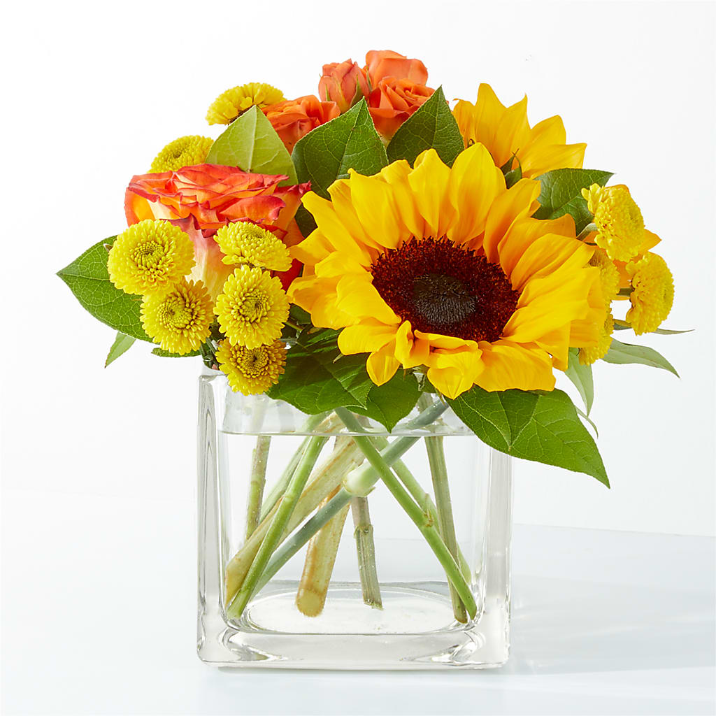 Picnic in the Park Bouquet – All Season Floral Llc, Saranac Lake NY