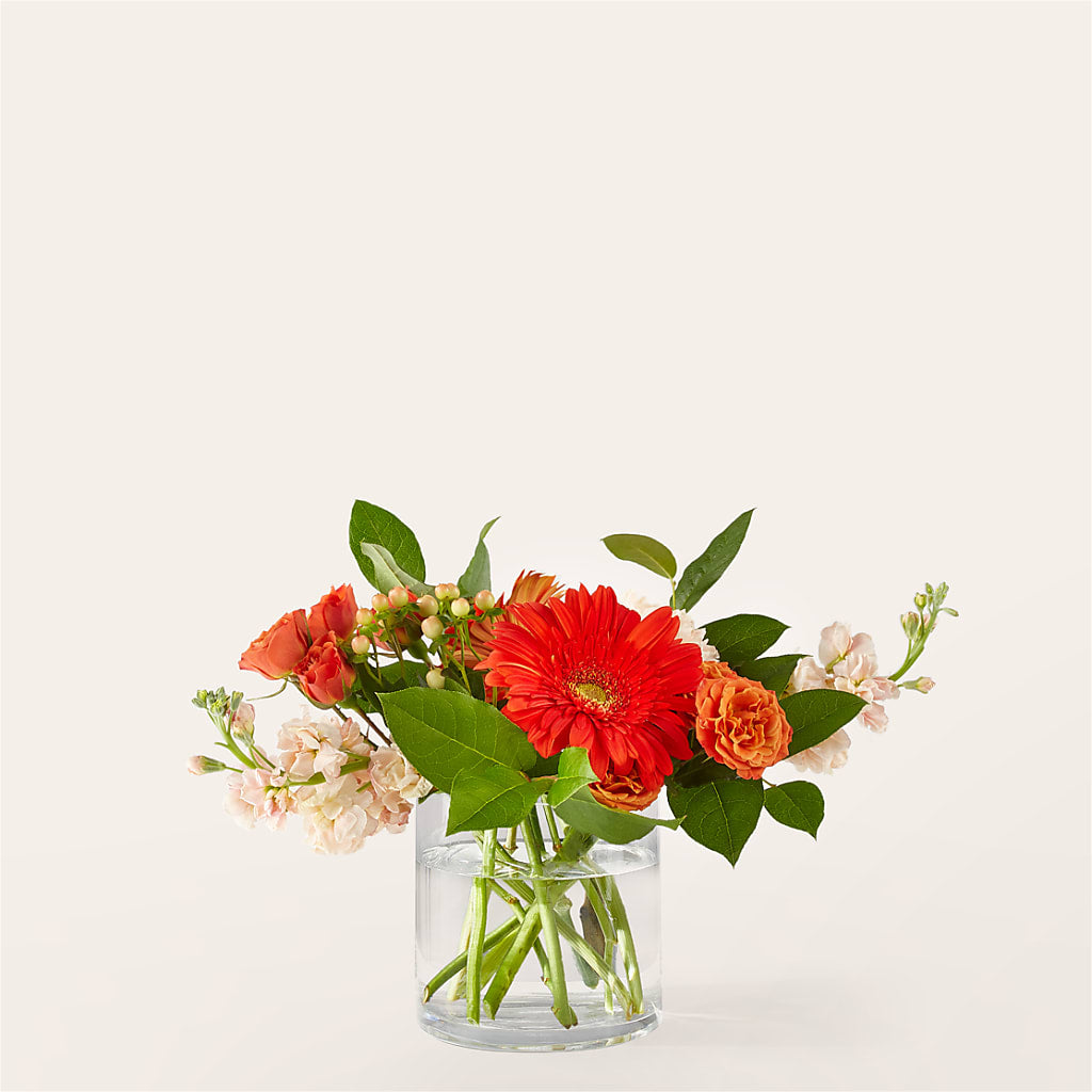 Paloma Please Bouquet – All Season Floral Llc, Saranac Lake NY