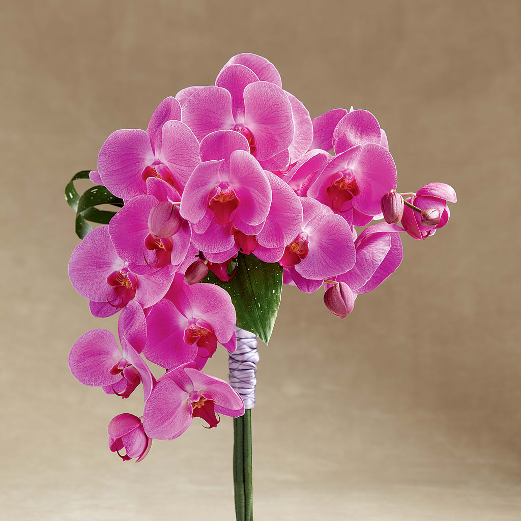 Glorious Bouquet – All Season Floral Llc, Saranac Lake NY