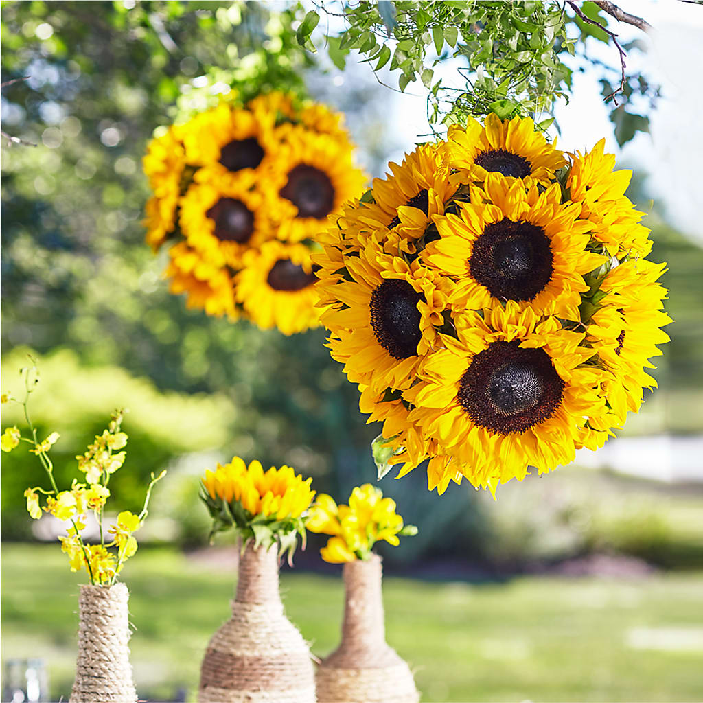 Sublime Garden Hanging Arrangement – All Season Floral Llc, Saranac Lake NY