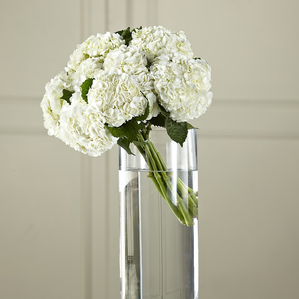 White Hydrangea Hand-Tied Bouquet – All Season Floral Llc, Saranac Lake NY