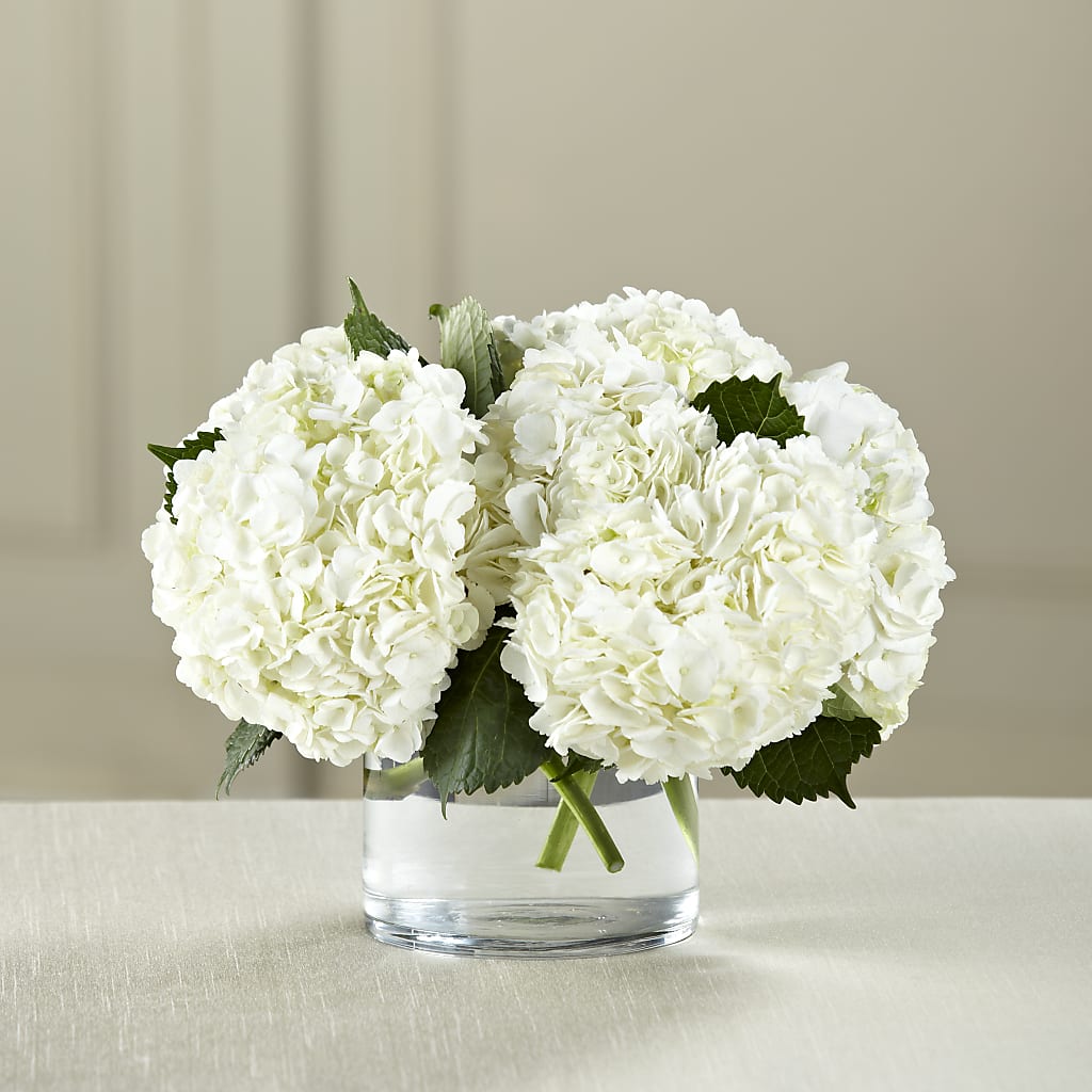 White Hydrangea Bouquet – All Season Floral Llc, Saranac Lake NY