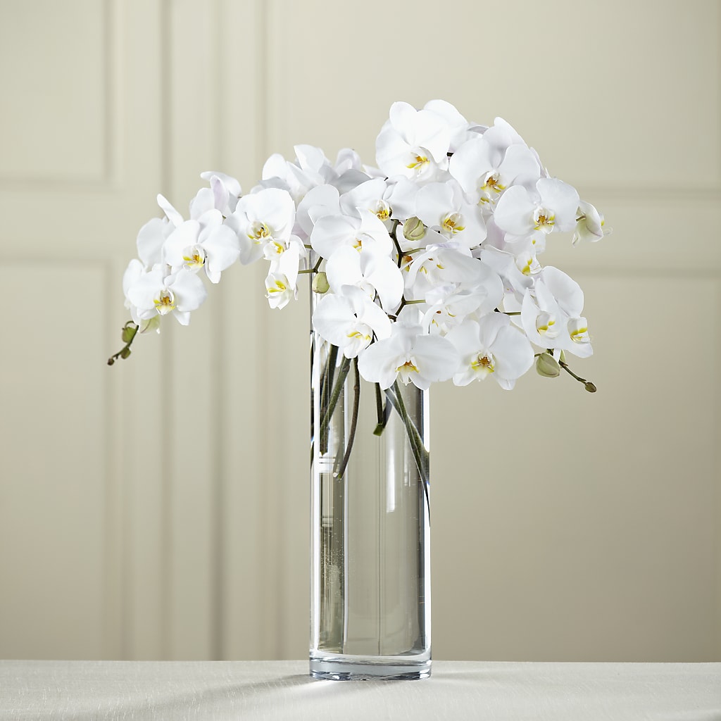 White Phalaenopsis Bouquet – All Season Floral Llc, Saranac Lake NY