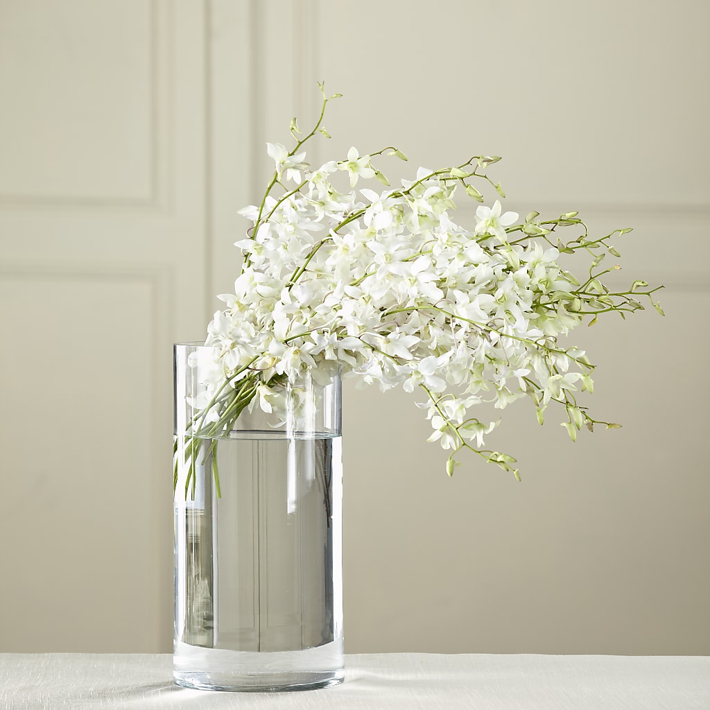 White Dendrobium Bouquet – All Season Floral Llc, Saranac Lake NY