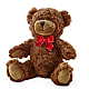 Adorable Plush Bear –  All Season Floral Llc, Saranac Lake NY