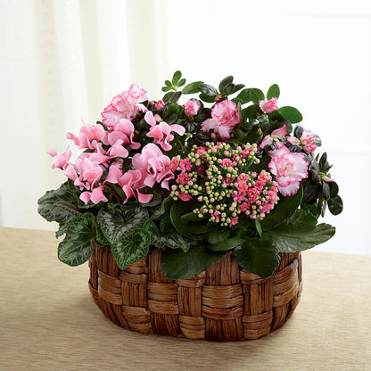 Pink Assortment –  All Season Floral Llc, Saranac Lake NY
