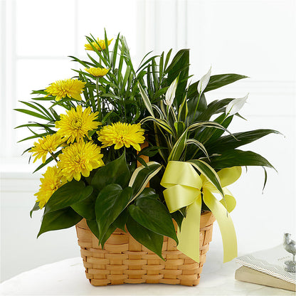 Loving Light Dishgarden –  All Season Floral Llc, Saranac Lake NY