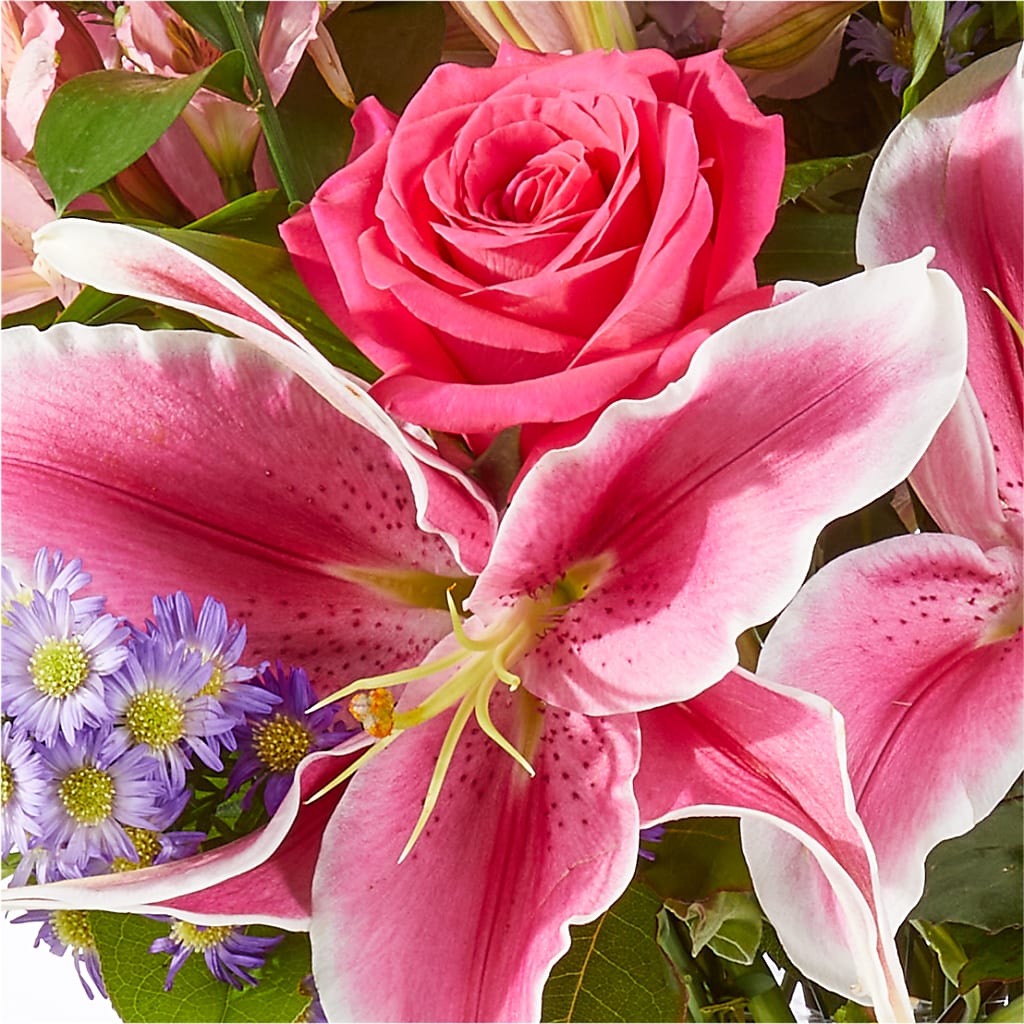 Written in the Stars Bouquet –  All Season Floral Llc, Saranac Lake NY