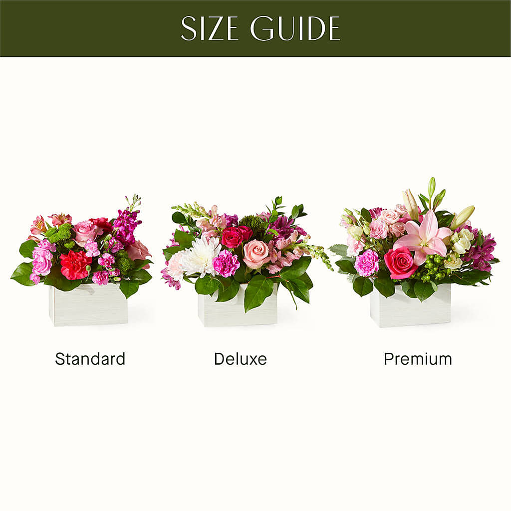 Sweetberry Box – A Florist Original –  All Season Floral Llc, Saranac Lake NY