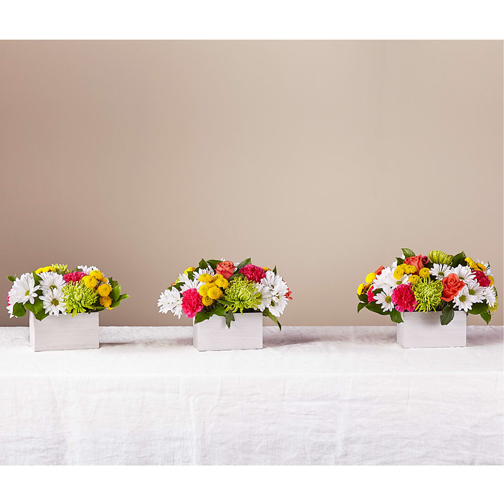 Sorbet Bouquet –  All Season Floral Llc, Saranac Lake NY