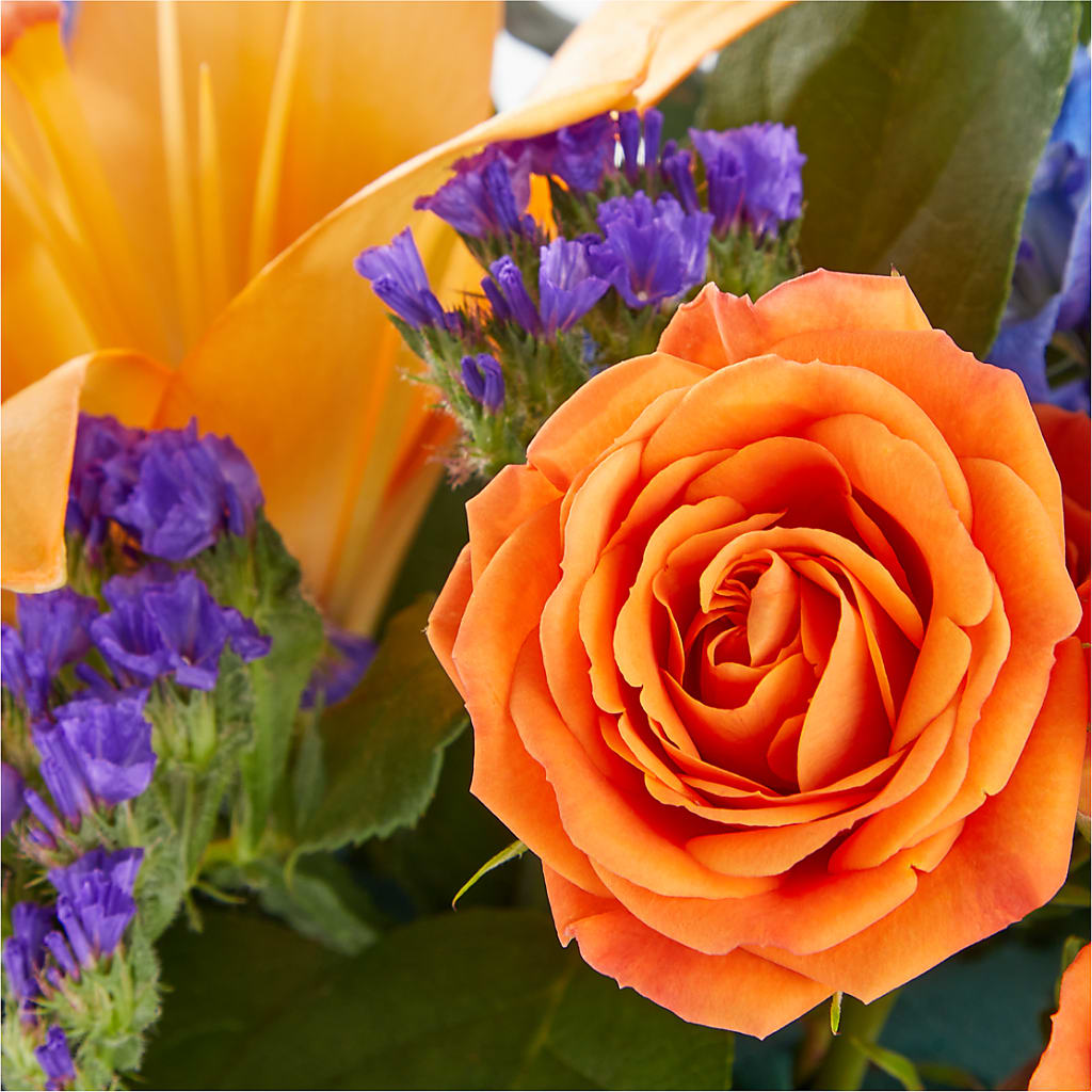 Radiant Citrus Box Bouquet –  All Season Floral Llc, Saranac Lake NY