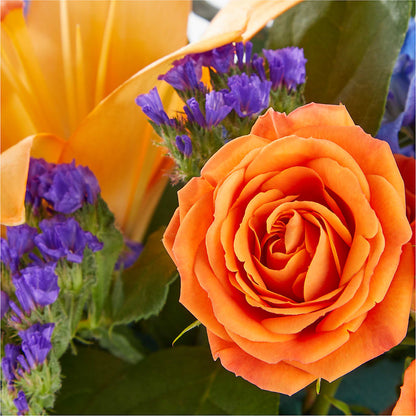 Radiant Citrus Box Bouquet –  All Season Floral Llc, Saranac Lake NY