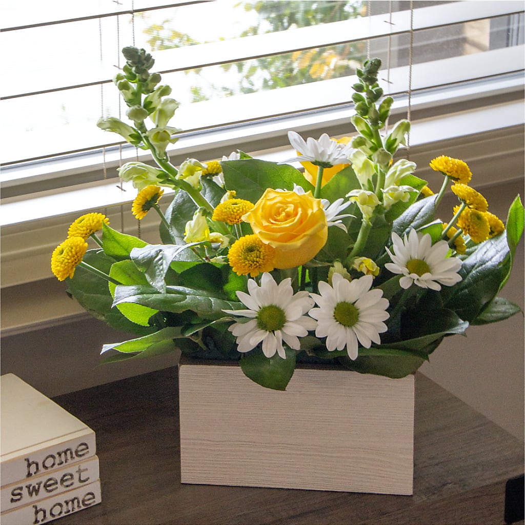Sun Salutation Box Bouquet –  All Season Floral Llc, Saranac Lake NY