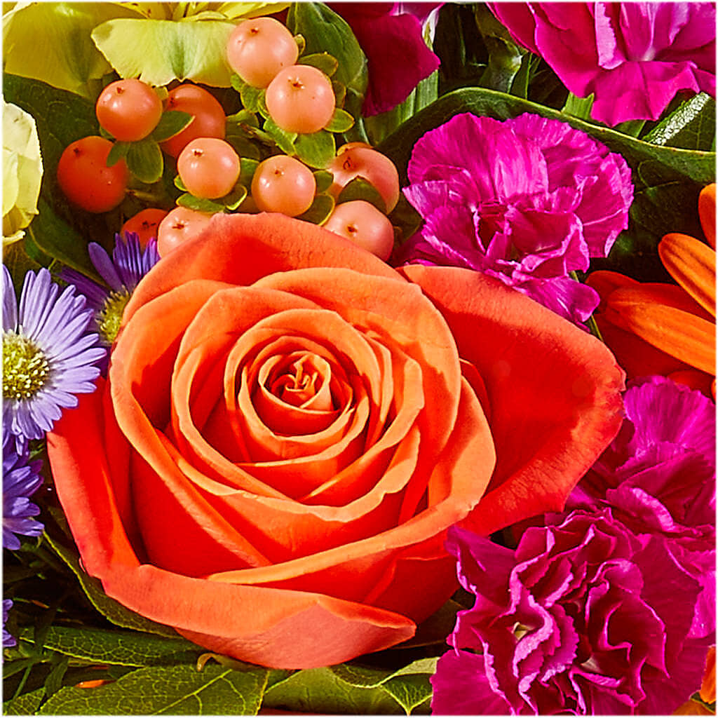 Tricks & Treats Pumpkin –  All Season Floral Llc, Saranac Lake NY