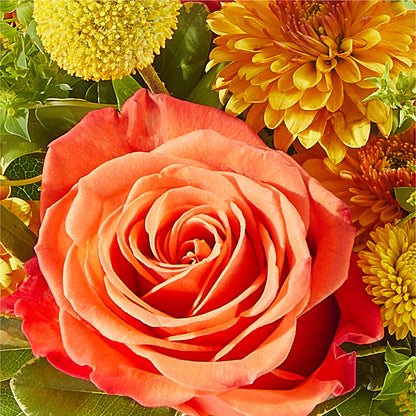 Gourdgeous Pumpkin –  All Season Floral Llc, Saranac Lake NY