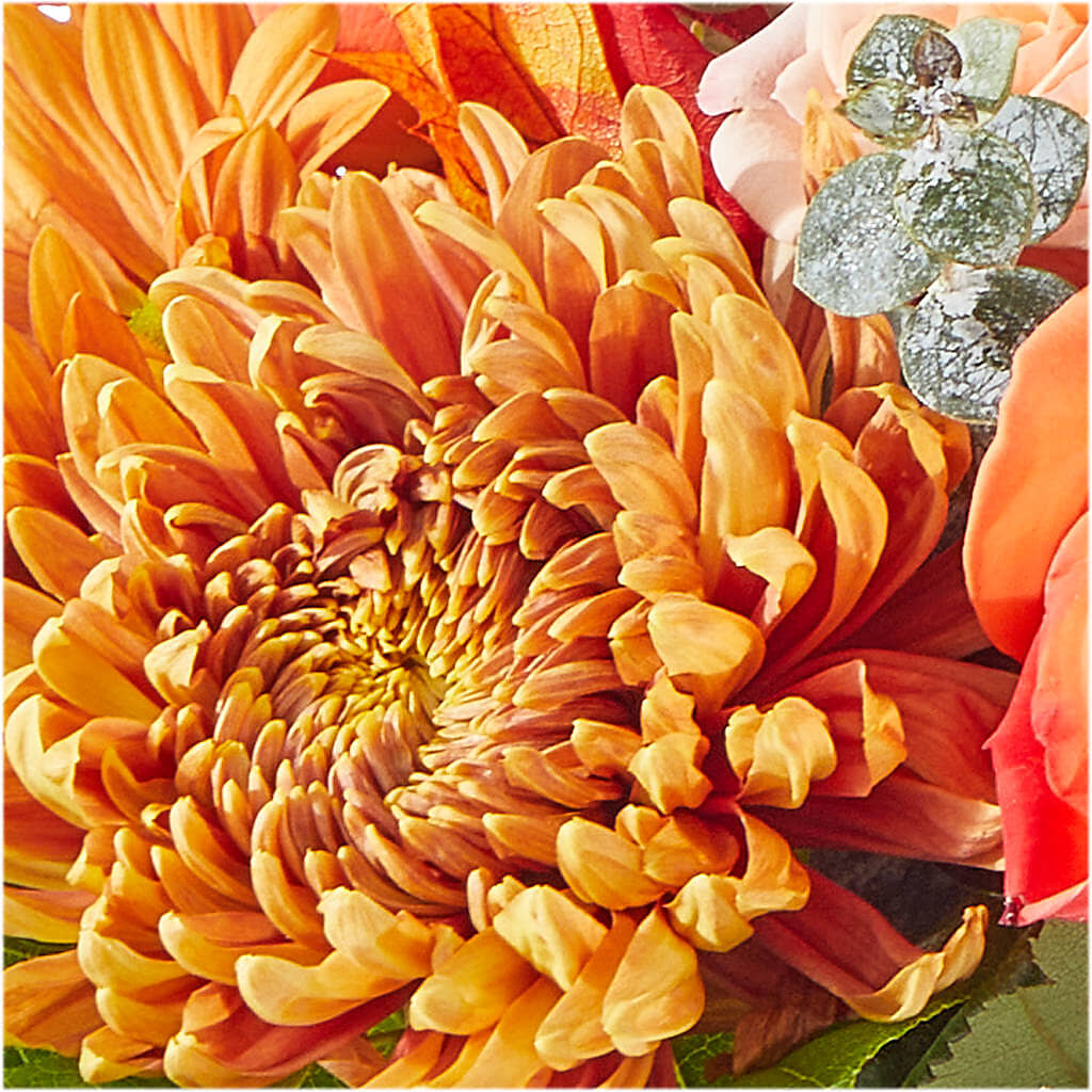 Scenic Route Bouquet –  All Season Floral Llc, Saranac Lake NY