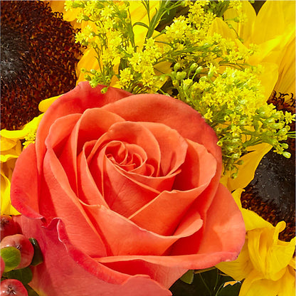 Pick of the Patch Pumpkin Bouquet –  All Season Floral Llc, Saranac Lake NY