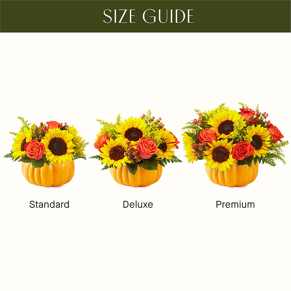 Pick of the Patch Pumpkin Bouquet –  All Season Floral Llc, Saranac Lake NY