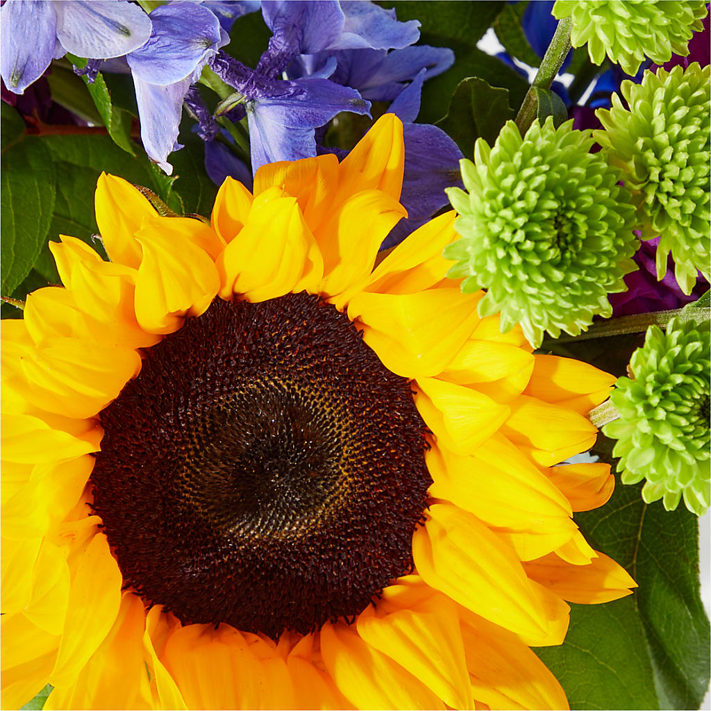 Catching Rays Bouquet –  All Season Floral Llc, Saranac Lake NY