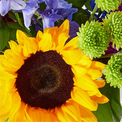 Catching Rays Bouquet –  All Season Floral Llc, Saranac Lake NY