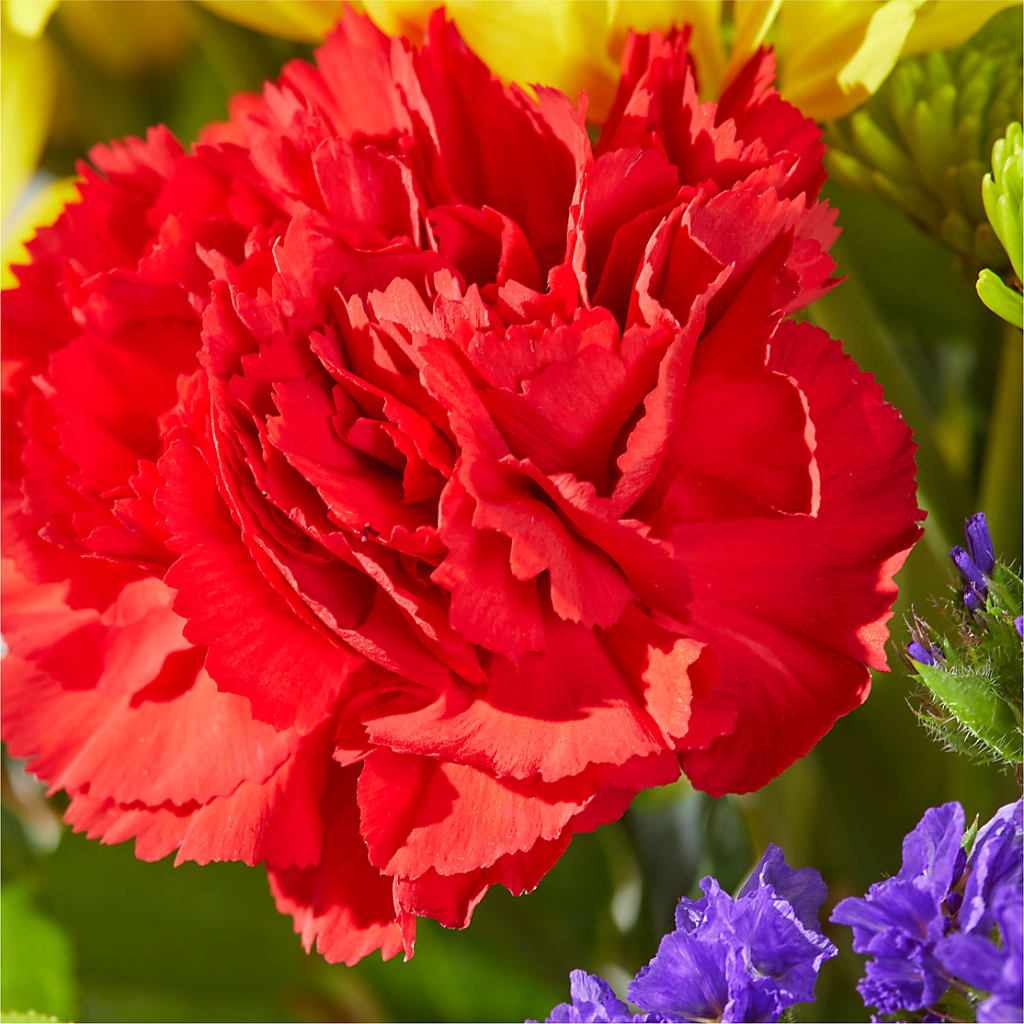 Brighter Days Bouquet –  All Season Floral Llc, Saranac Lake NY
