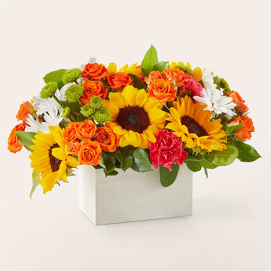 Sun-drenched Blooms Box Bouquet –  All Season Floral Llc, Saranac Lake NY