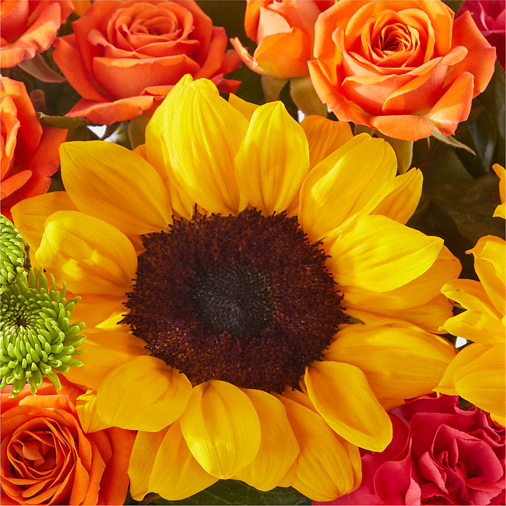 Sun-drenched Blooms Box Bouquet –  All Season Floral Llc, Saranac Lake NY