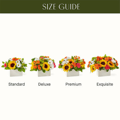 Sun-drenched Blooms Box Bouquet –  All Season Floral Llc, Saranac Lake NY