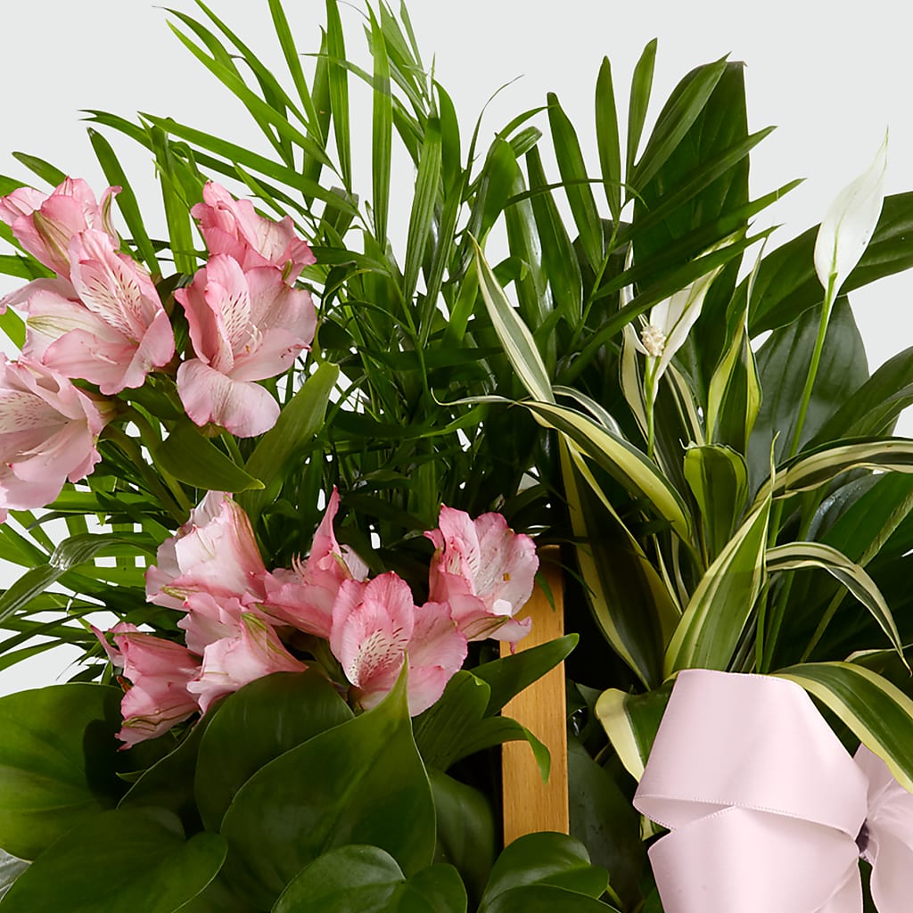 Living Spirit Dishgarden –  All Season Floral Llc, Saranac Lake NY