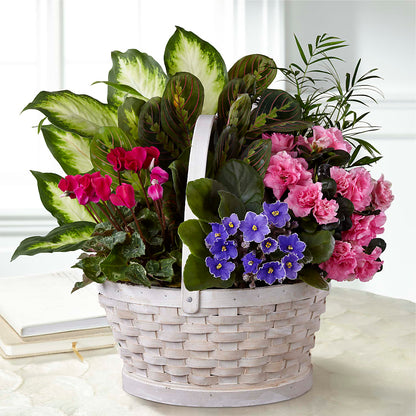 Peaceful Garden Planter –  All Season Floral Llc, Saranac Lake NY