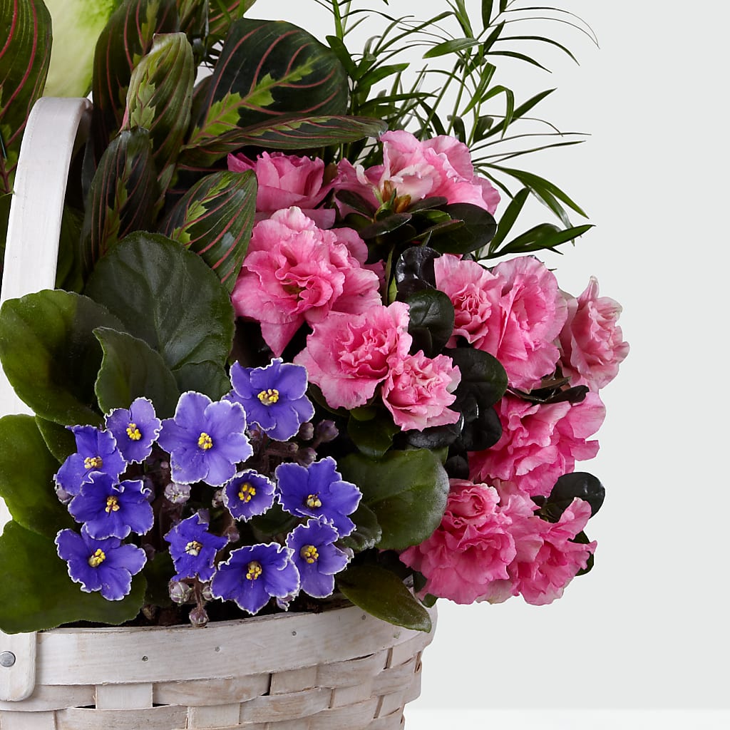 Peaceful Garden Planter –  All Season Floral Llc, Saranac Lake NY