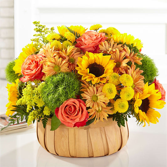 Harvest Sunflower Basket –  All Season Floral Llc, Saranac Lake NY