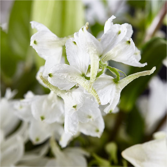 Classic Ivory – A Florist Original –  All Season Floral Llc, Saranac Lake NY