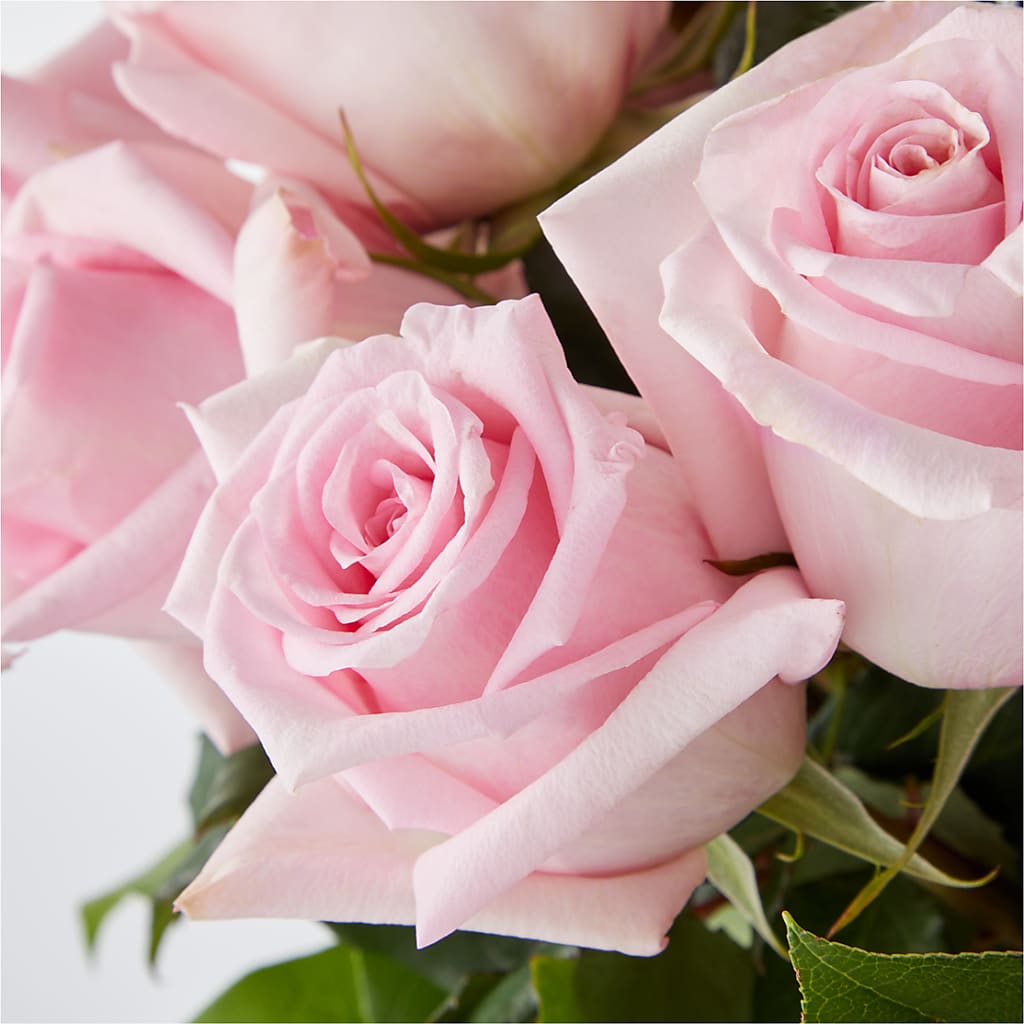 Picture Perfect Pink Rose Bouquet –  All Season Floral Llc, Saranac Lake NY