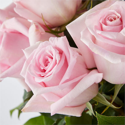 Picture Perfect Pink Rose Bouquet –  All Season Floral Llc, Saranac Lake NY