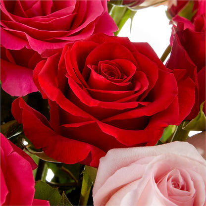 Love Notes Rose Bouquet –  All Season Floral Llc, Saranac Lake NY