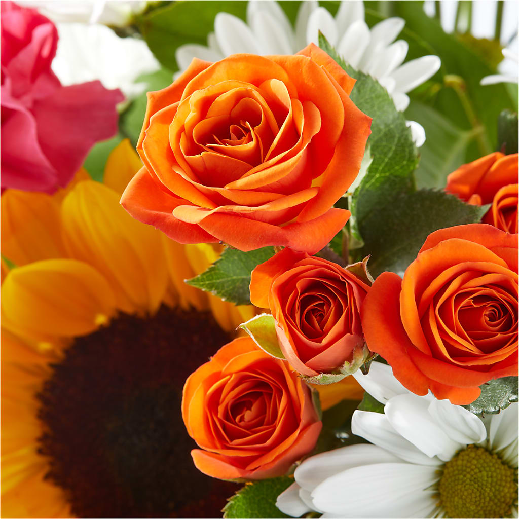 Sun-drenched Blooms Bouquet –  All Season Floral Llc, Saranac Lake NY