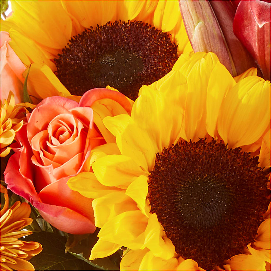Acorn Lane Bouquet –  All Season Floral Llc, Saranac Lake NY