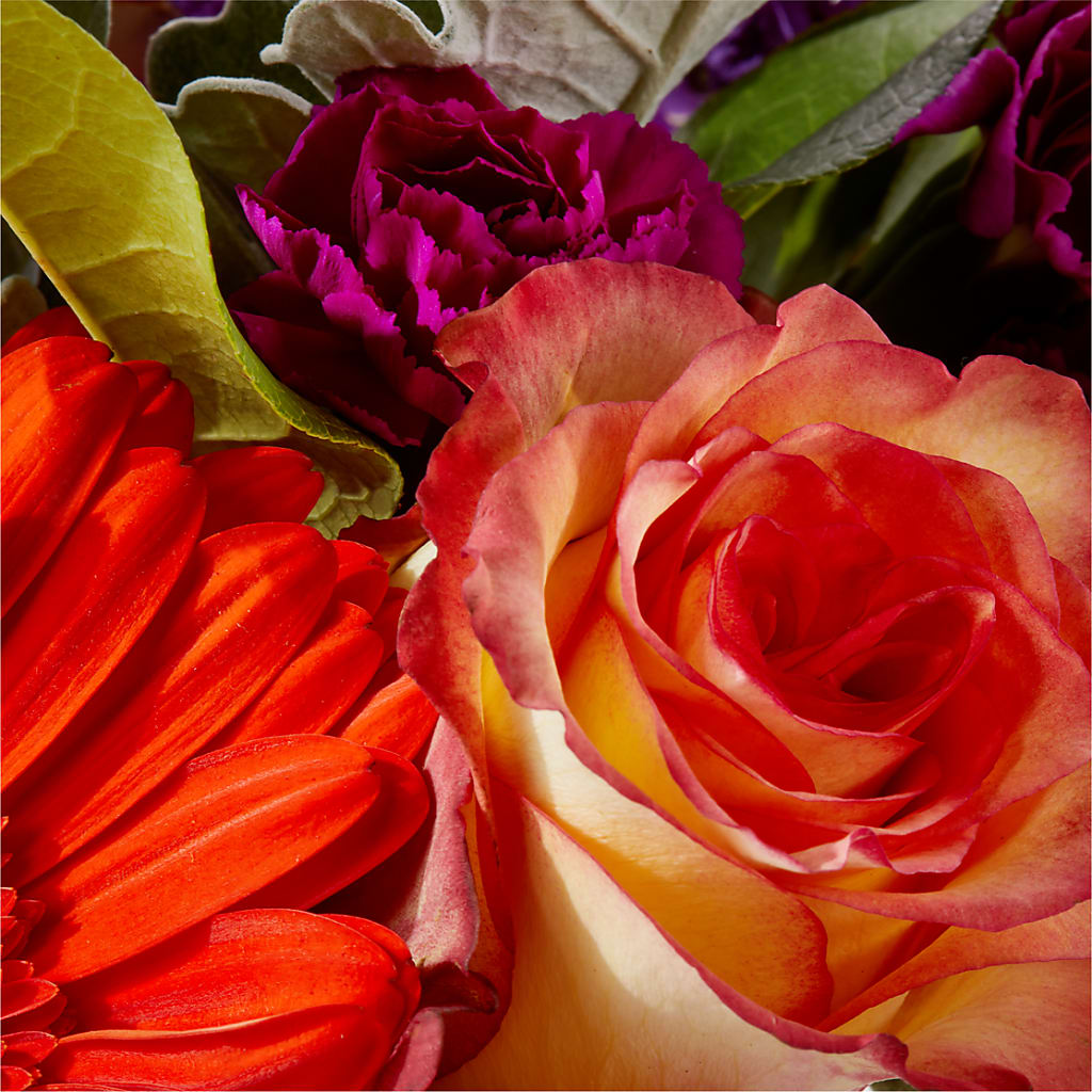 Sangria Bouquet –  All Season Floral Llc, Saranac Lake NY