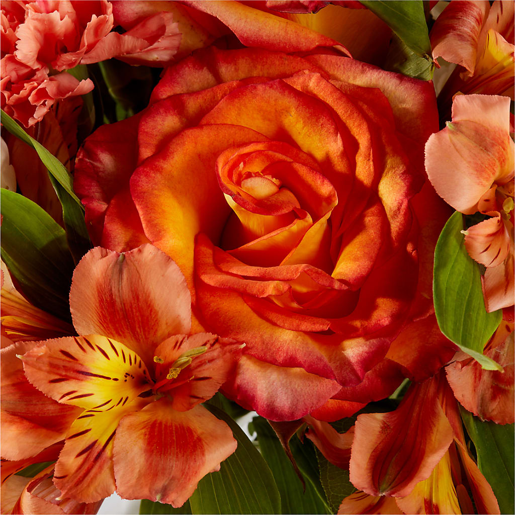 Apricot Glow Bouquet –  All Season Floral Llc, Saranac Lake NY