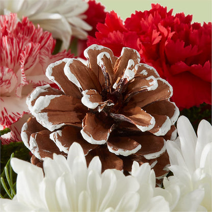 Candy Cane Lane Bouquet –  All Season Floral Llc, Saranac Lake NY